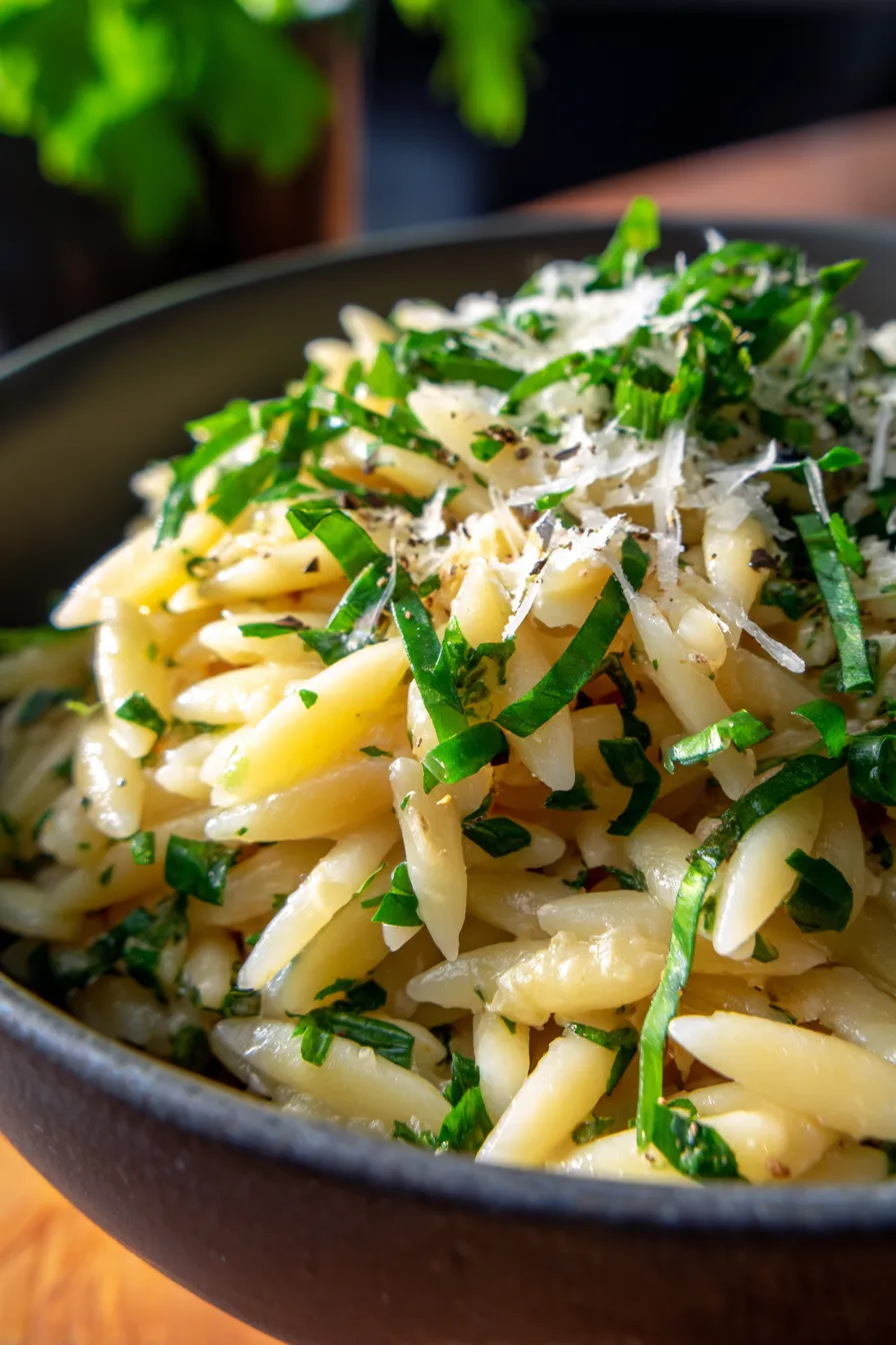 Creamy Orzo Dinner Recipe with Garlic and Herbs-closeup-texture